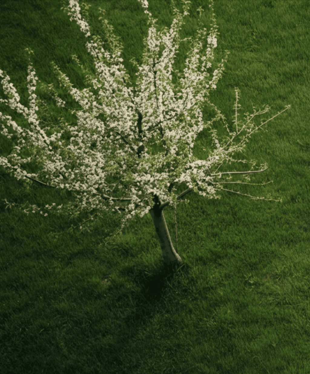 Abstract swirling patterns of teal, dark blue, and hints of orange, resembling a fluid cosmic design.