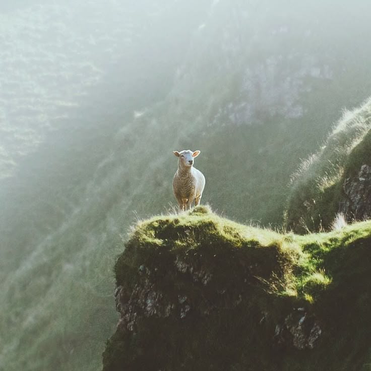 body of water under cloudy sky