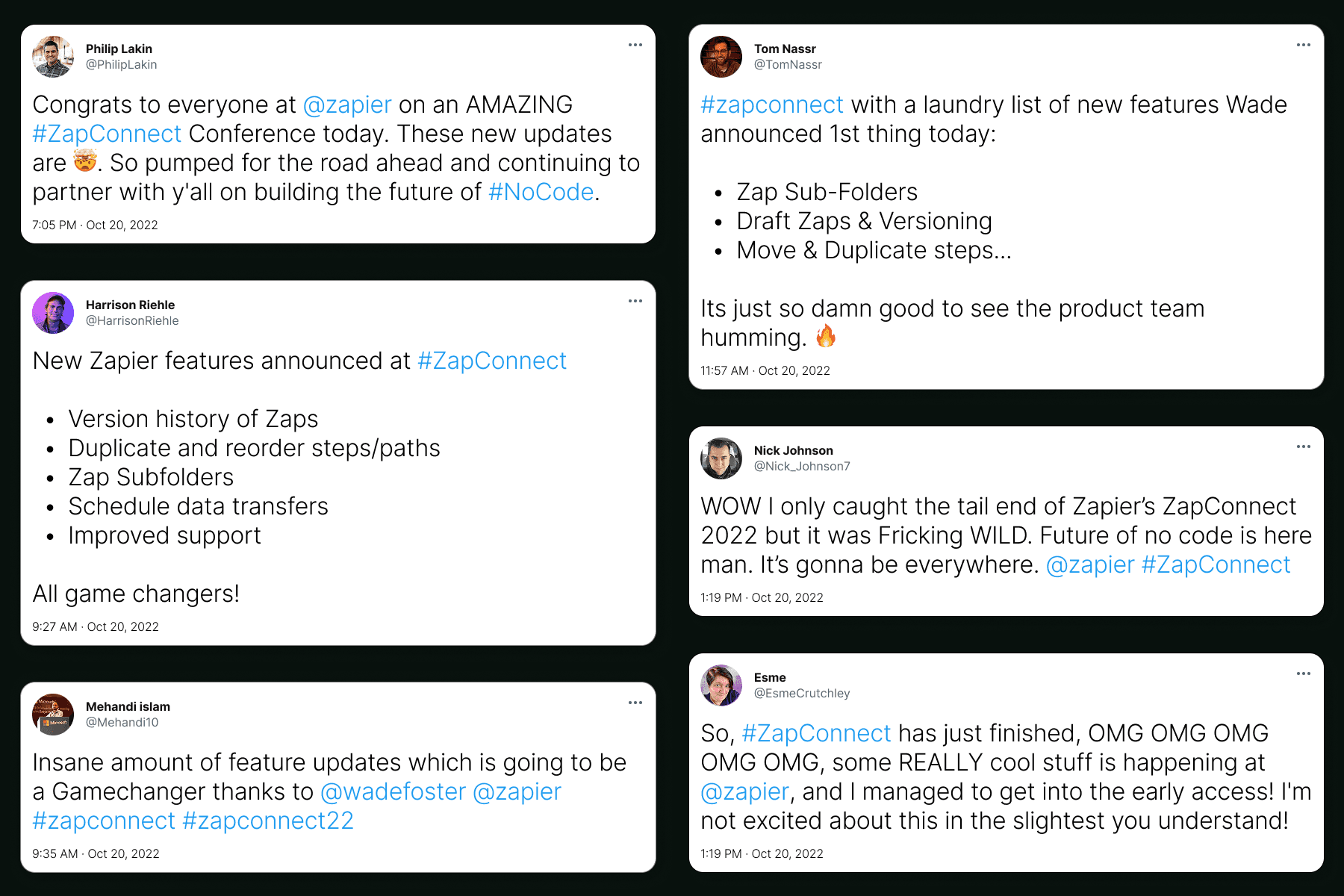 trees on forest with sun rays