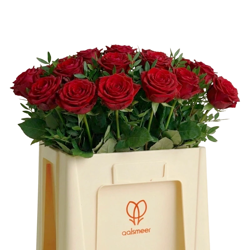 Grower working on laptop