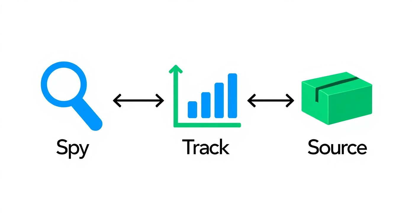 Product research workflow diagram showing spy, track, and source icons connected by arrows for dropshipping