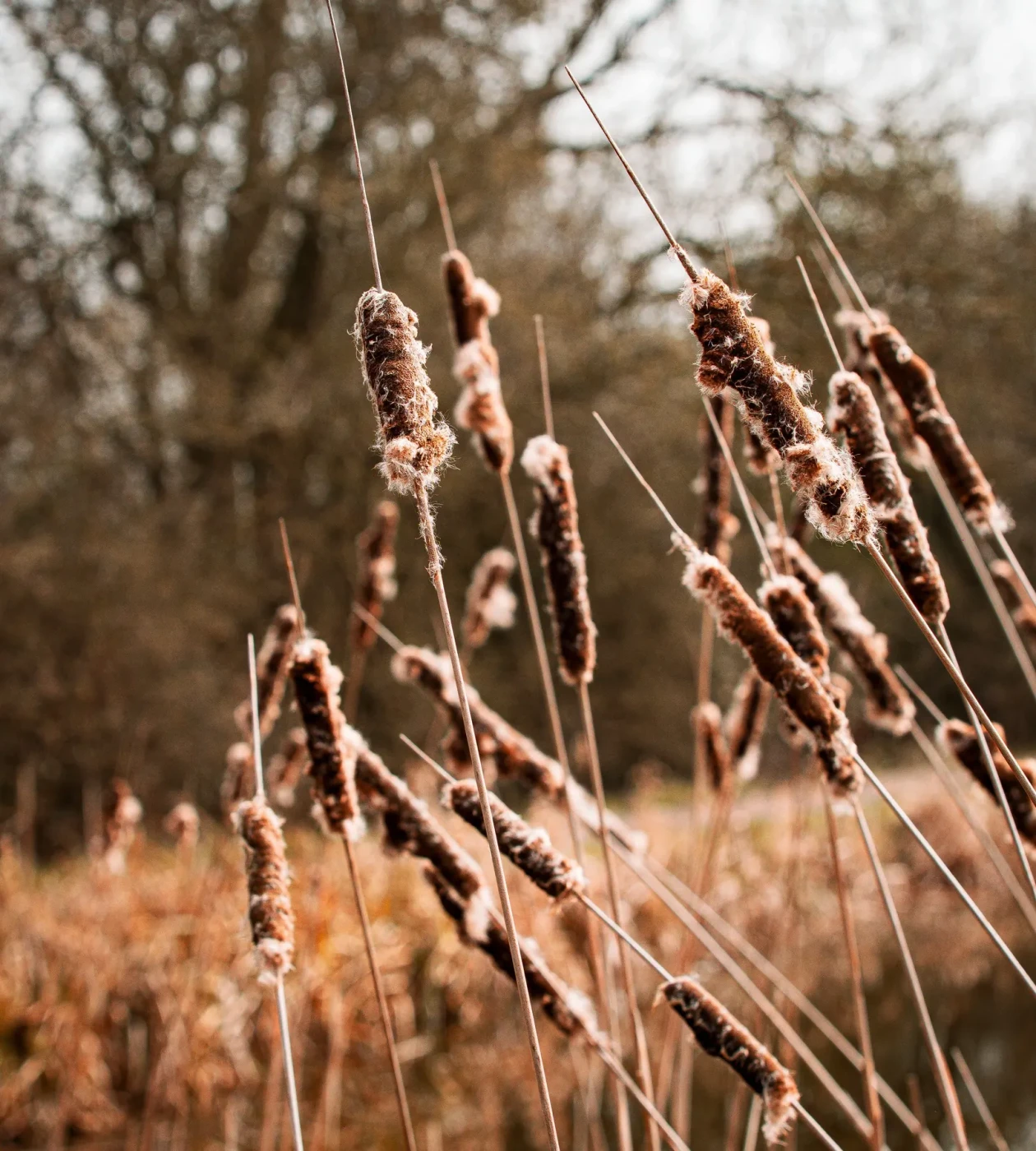 Landscape photography around Leicestershire