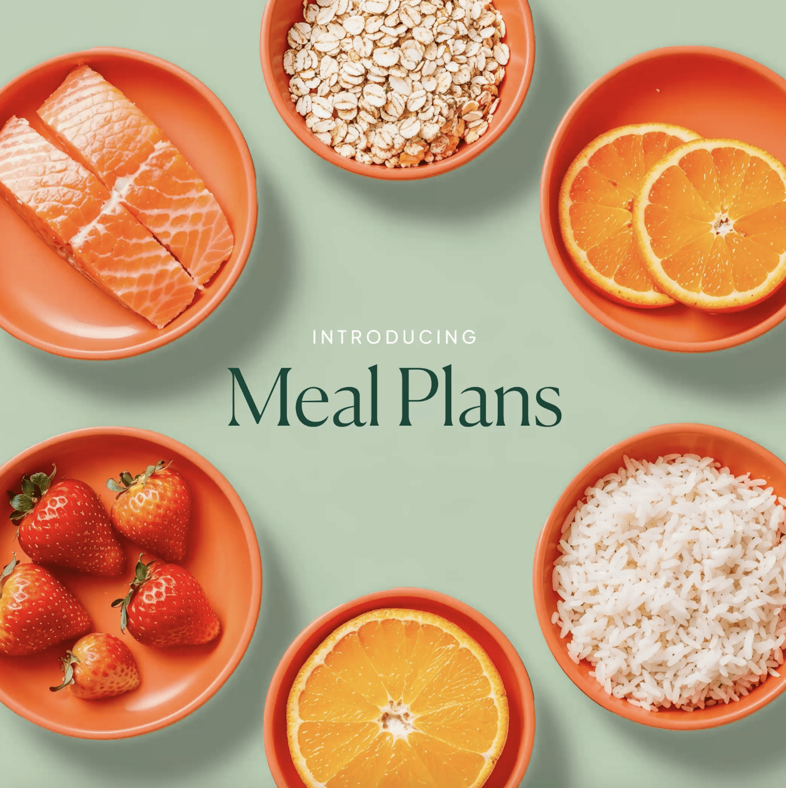 Introducing Meal Plans