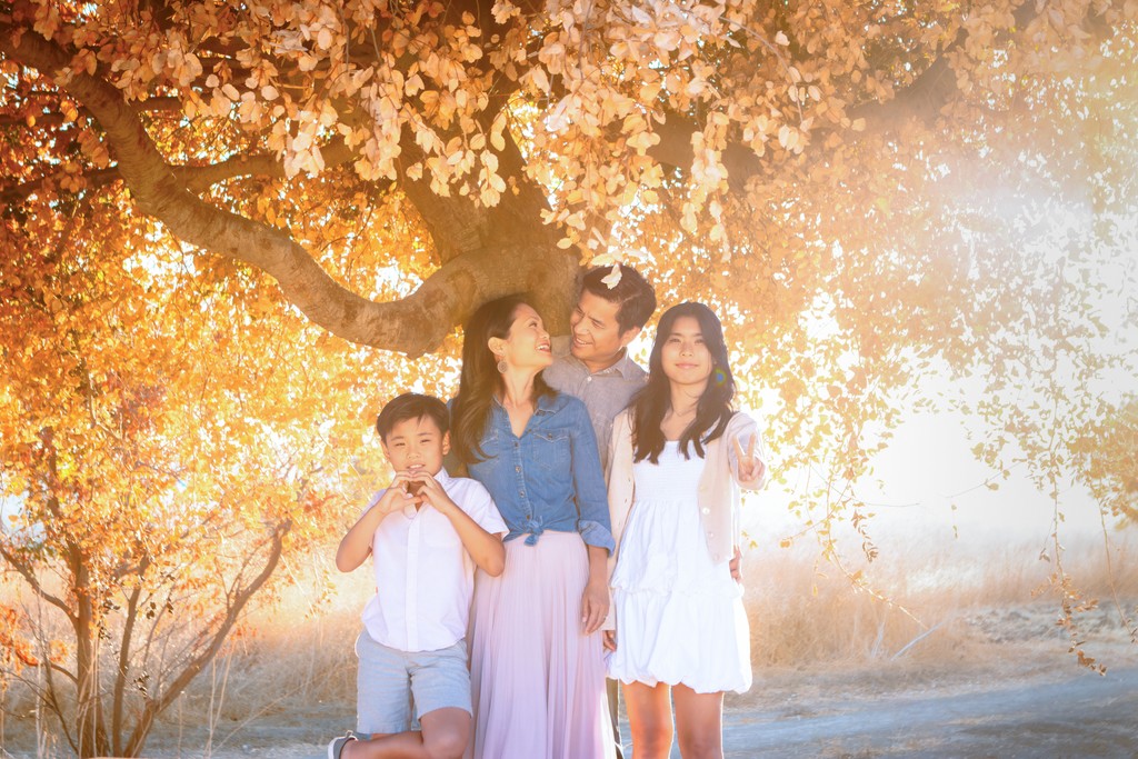 Album Photo Real Mehedi Free Framer Template Photography