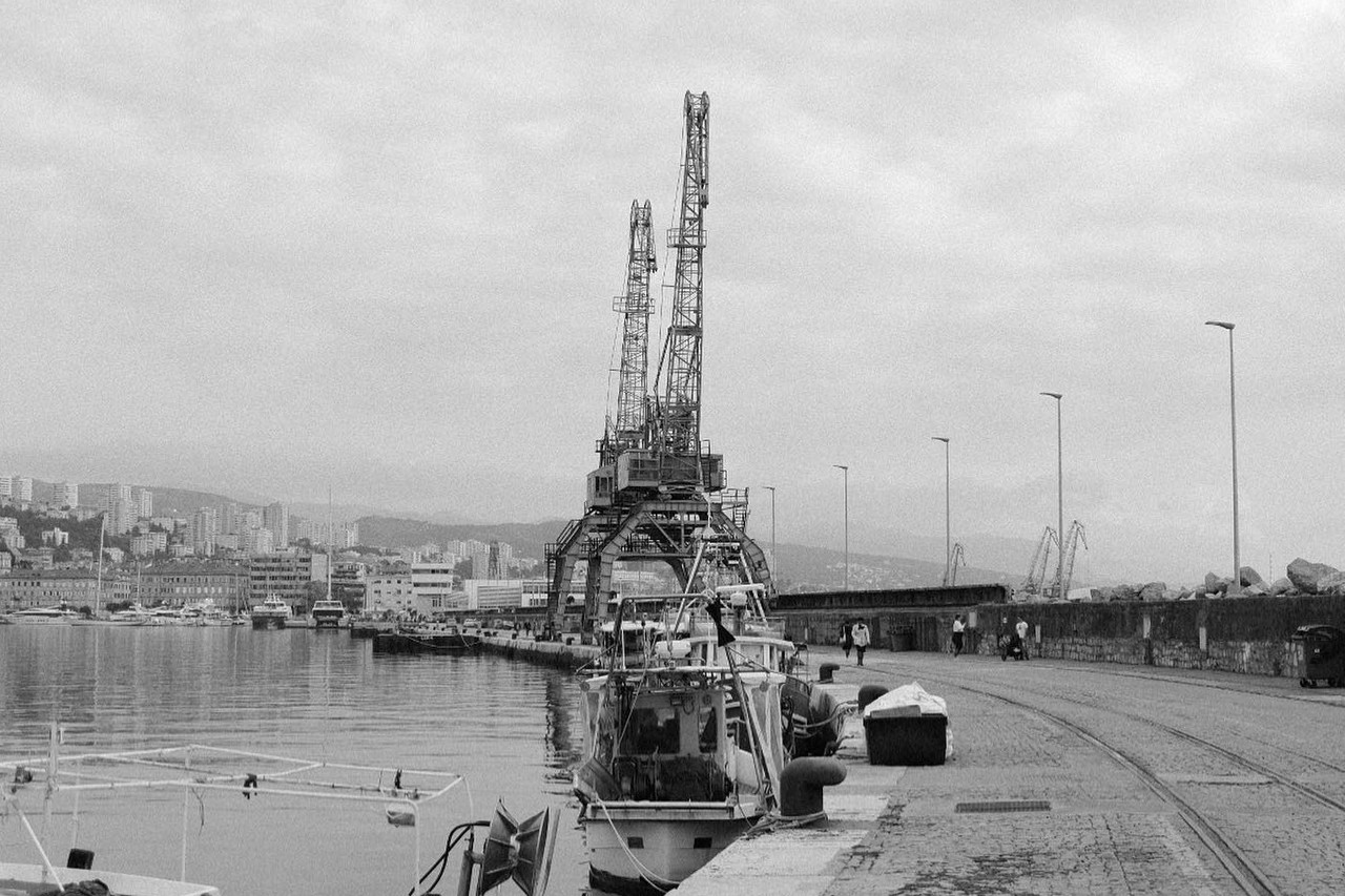 Two mechanical cranes on a marina with the sea and city in the background