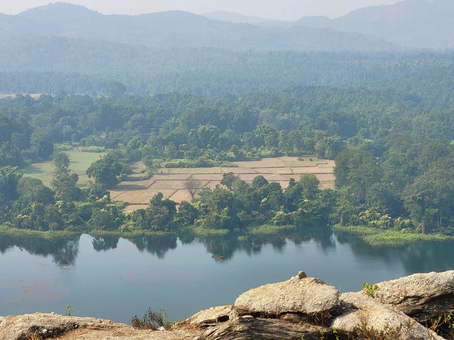 Forest lake and hillscape