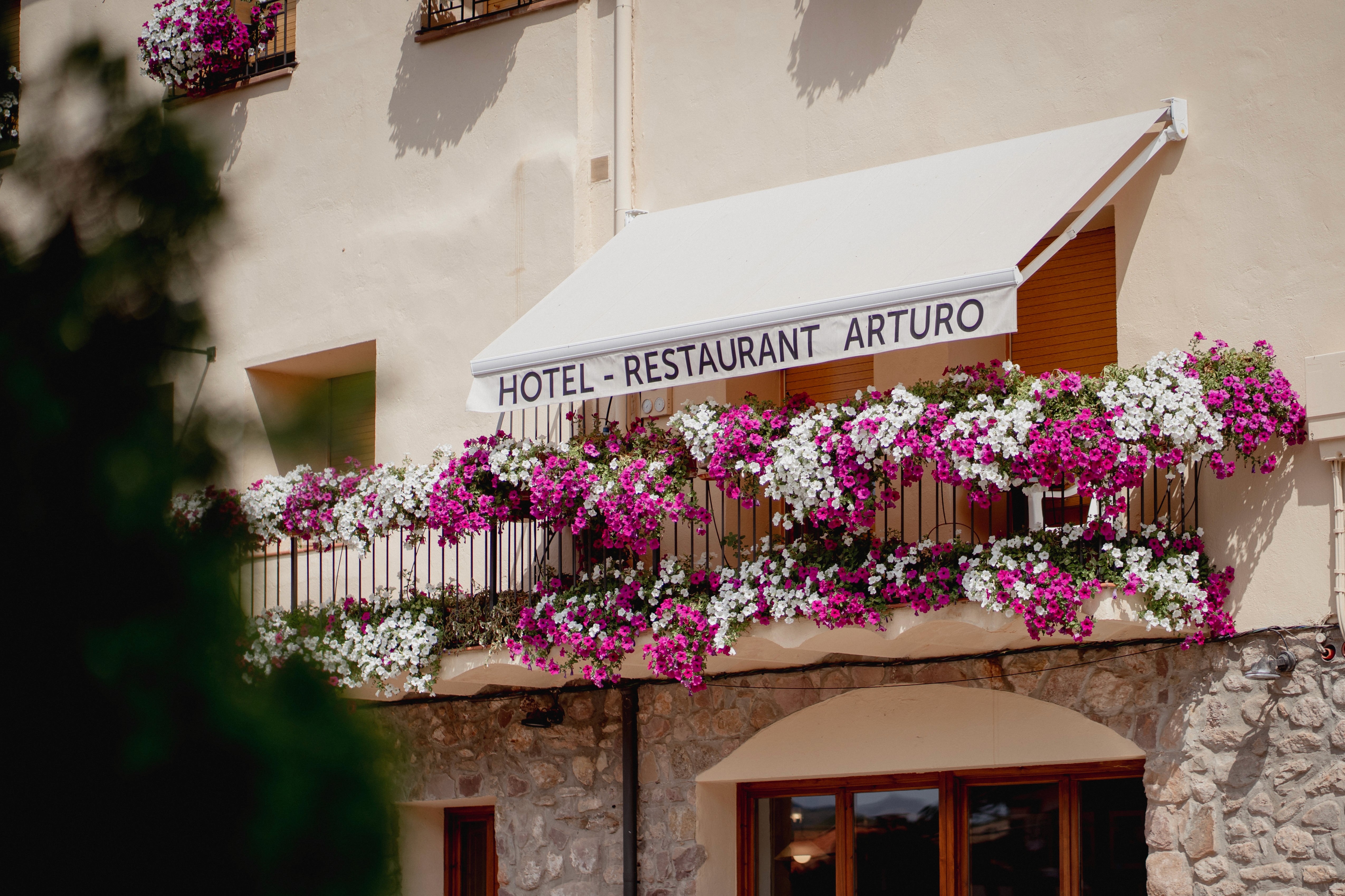 lounge zone of a contemporary house with white walls and fireplace