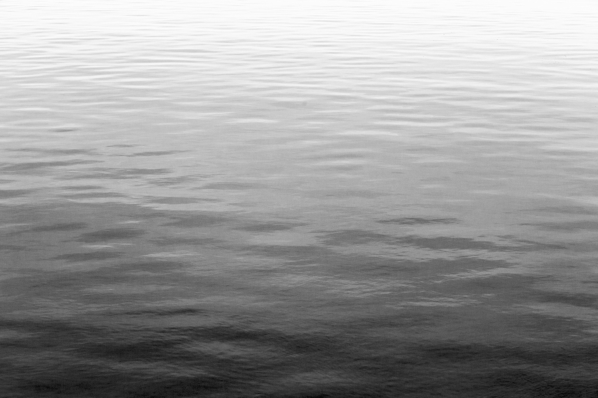 Oyster Point 3