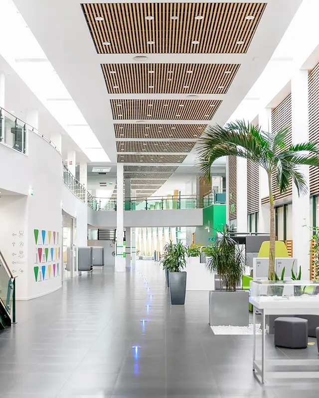 photographie d’une série d‘images cohérentes et impactantes pour action de communication externe