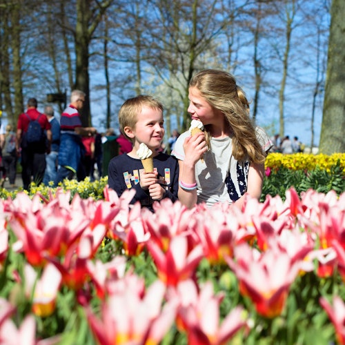 Tiket Keukenhof di Lisse