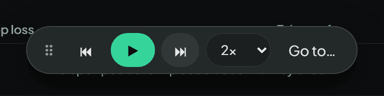 The replay controls