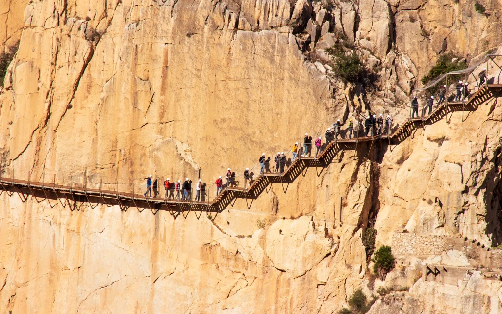 Stier som klamrer seg ti klippene over Guadalhorce-elven - Caminito del Rey i Spania | Expa Travel