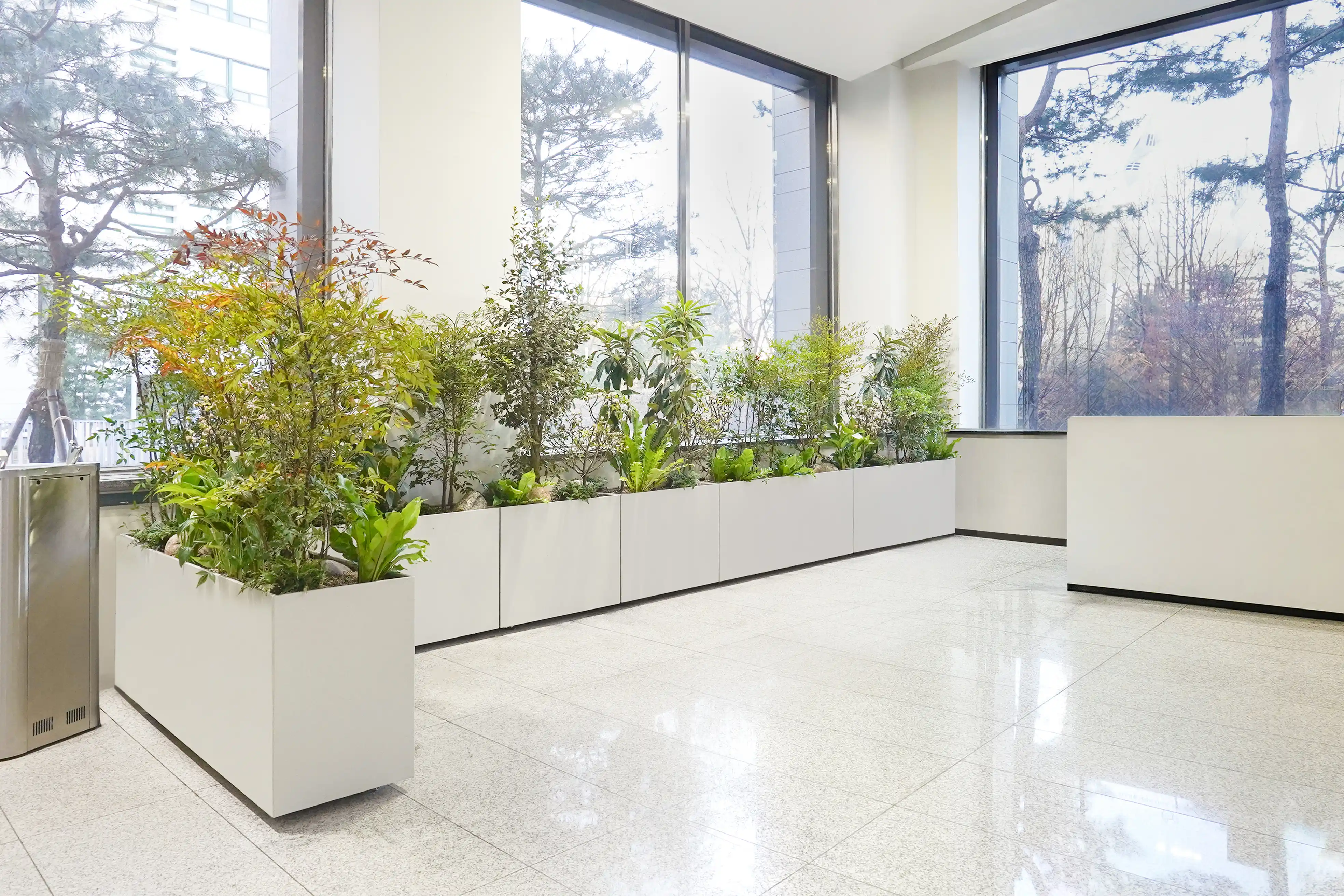 자생식물로 디자인한 실내정원