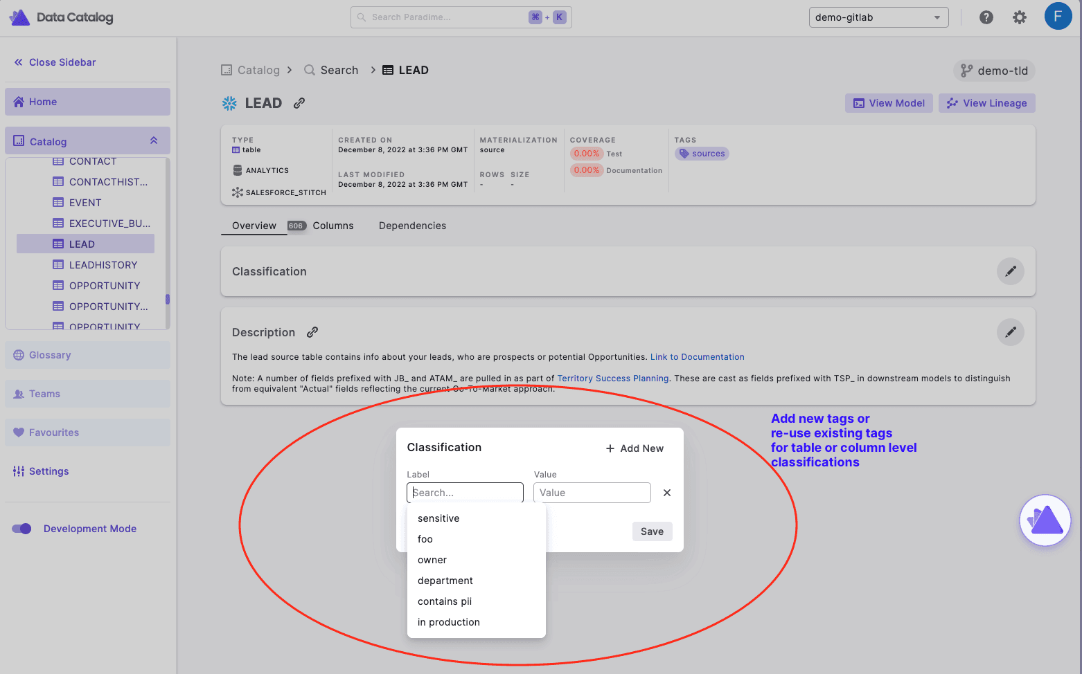 Paradime Docs - working with meta-tags and classifications