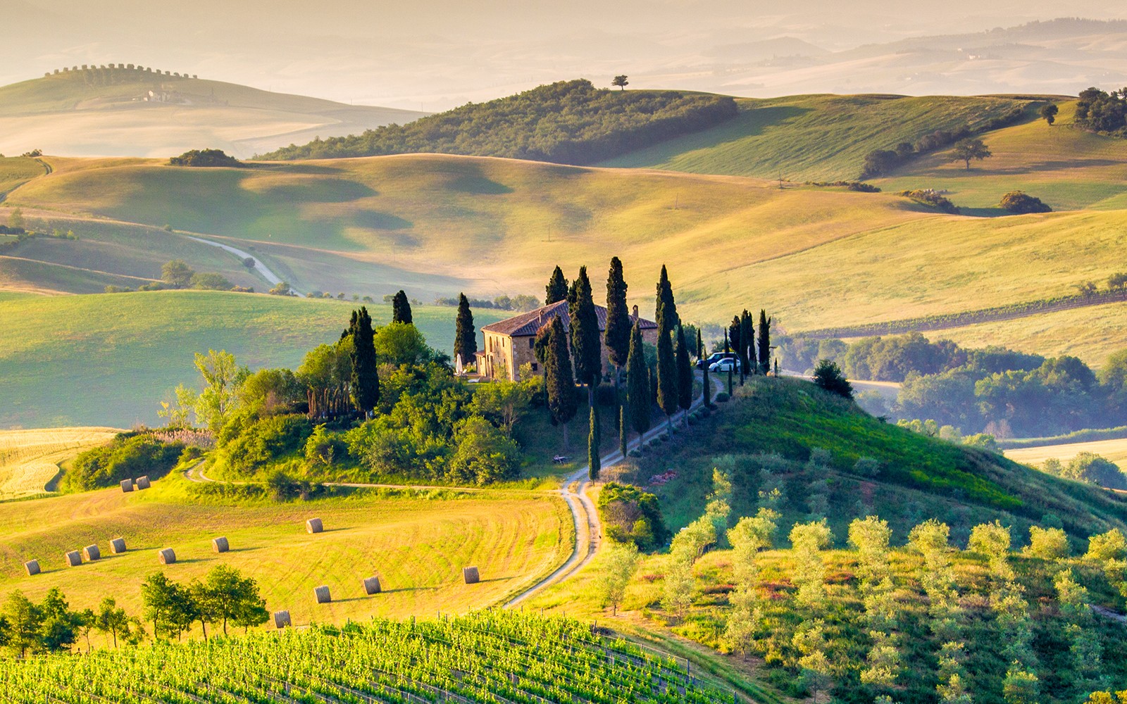 瓦爾多爾西亞的風景，有著香檳樹排成行的別墅、葡萄園和托斯卡納的起伏山丘。