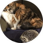 Lana Millson Reviews