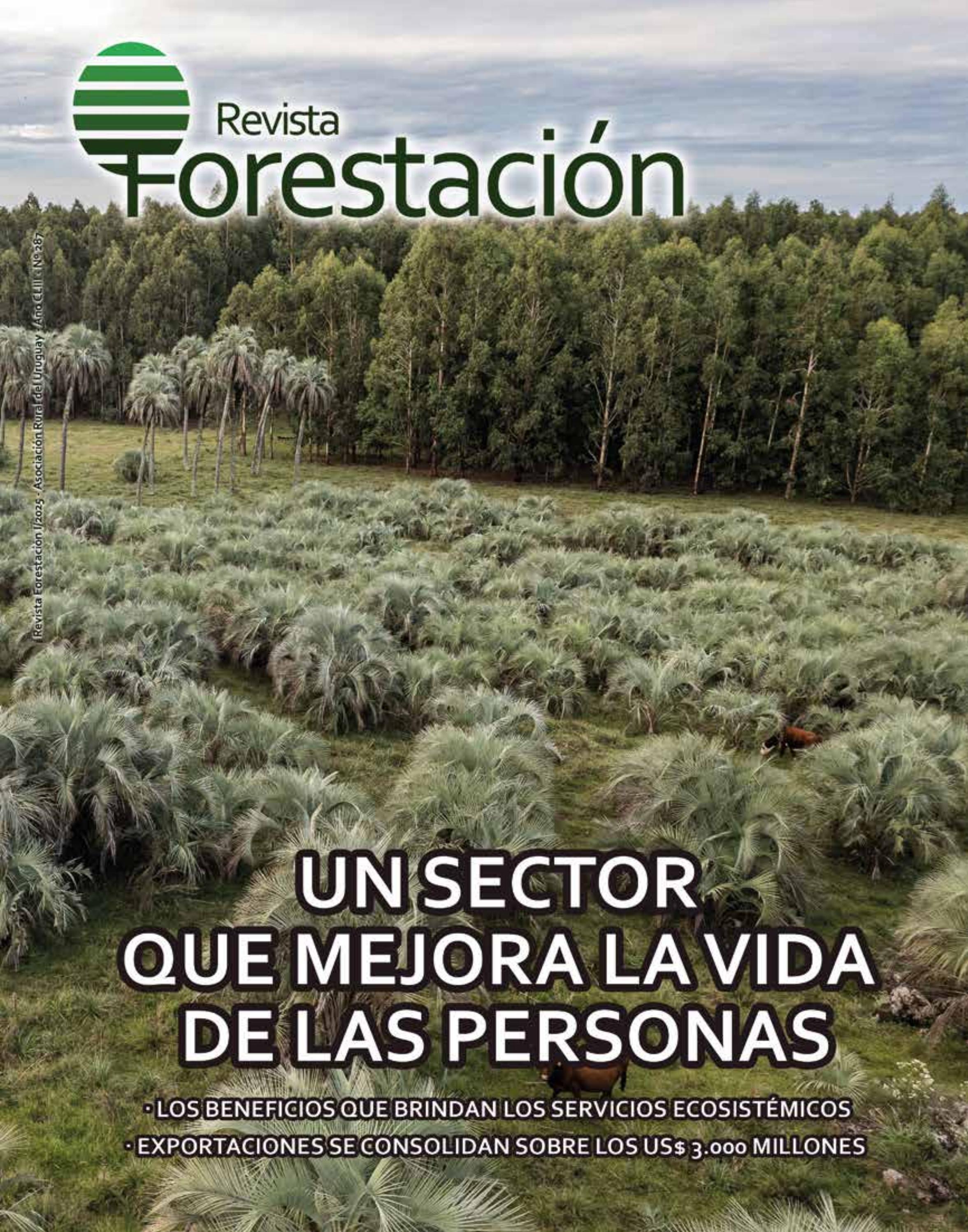 Forestacion 287