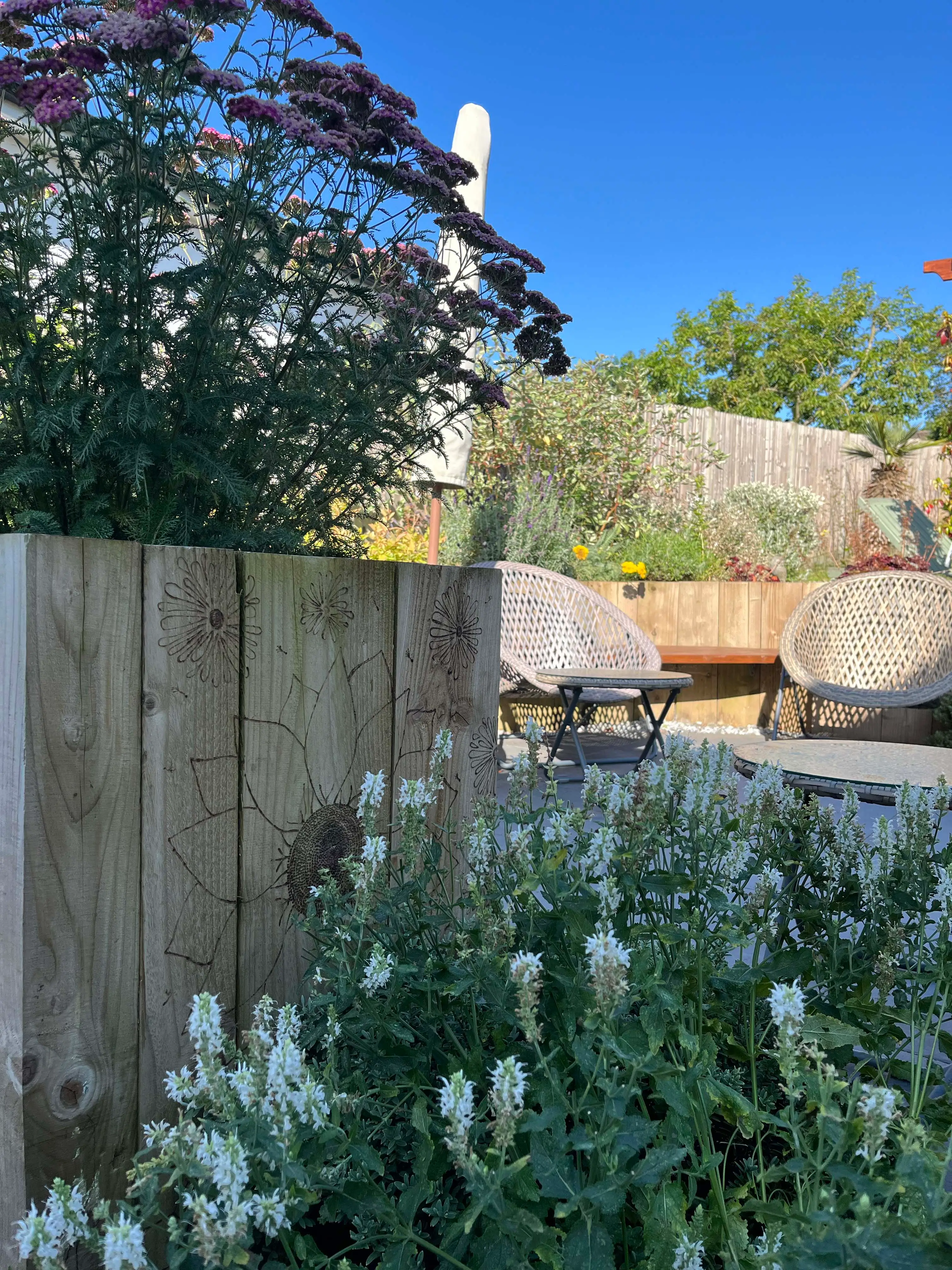 A garden scene featuring blooming flowers, a wooden fence, and a clear blue sky in the background.