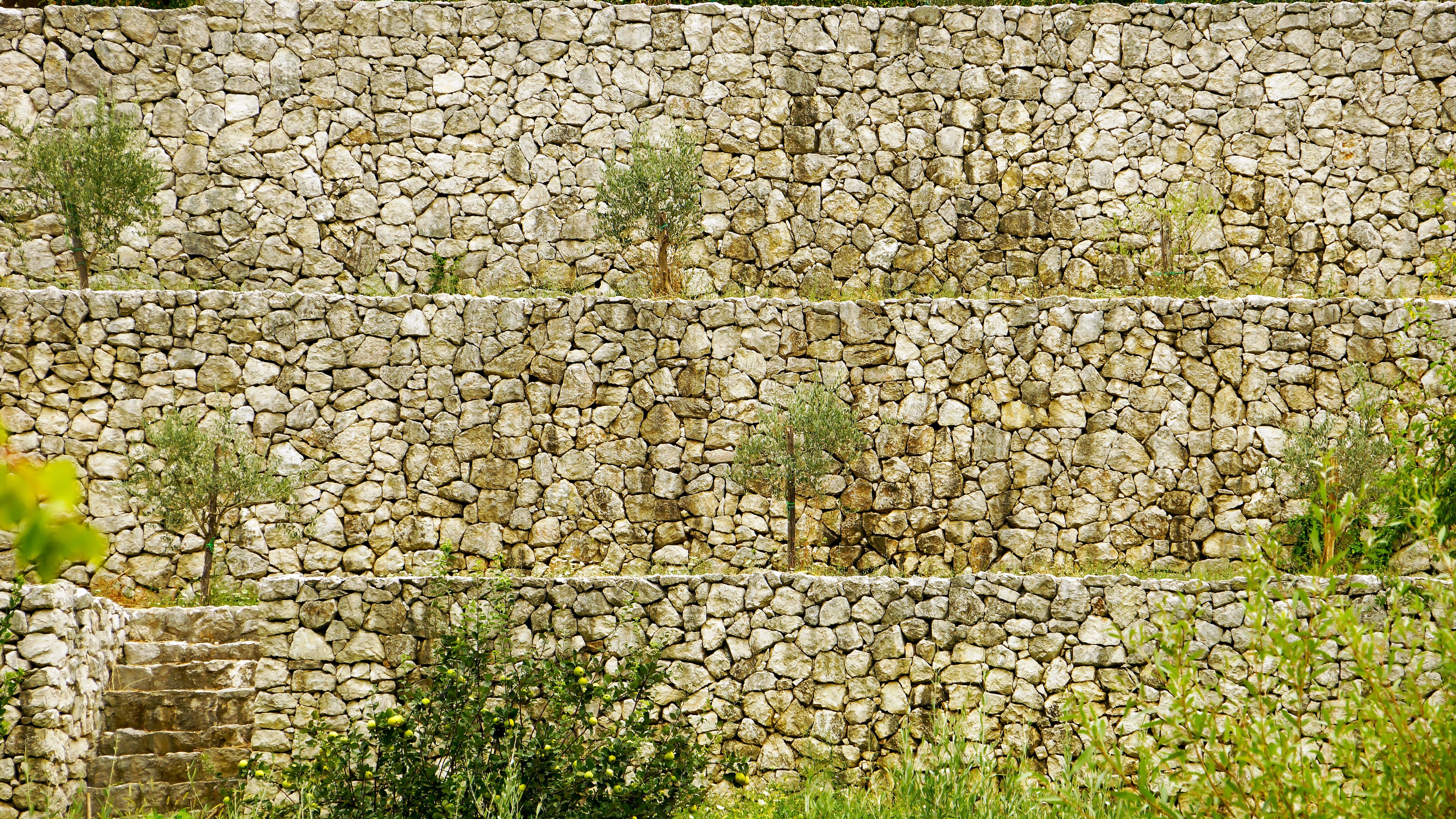 Vorteile und Nachteile Trockenmauer Alte Trockenmauer