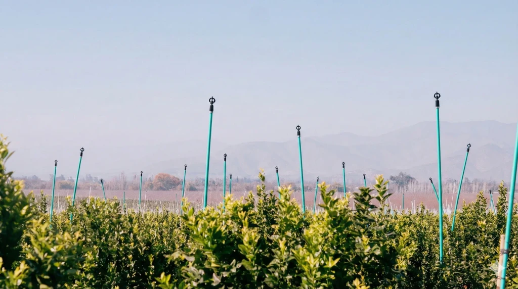 Coach explaining stuff to an athlete