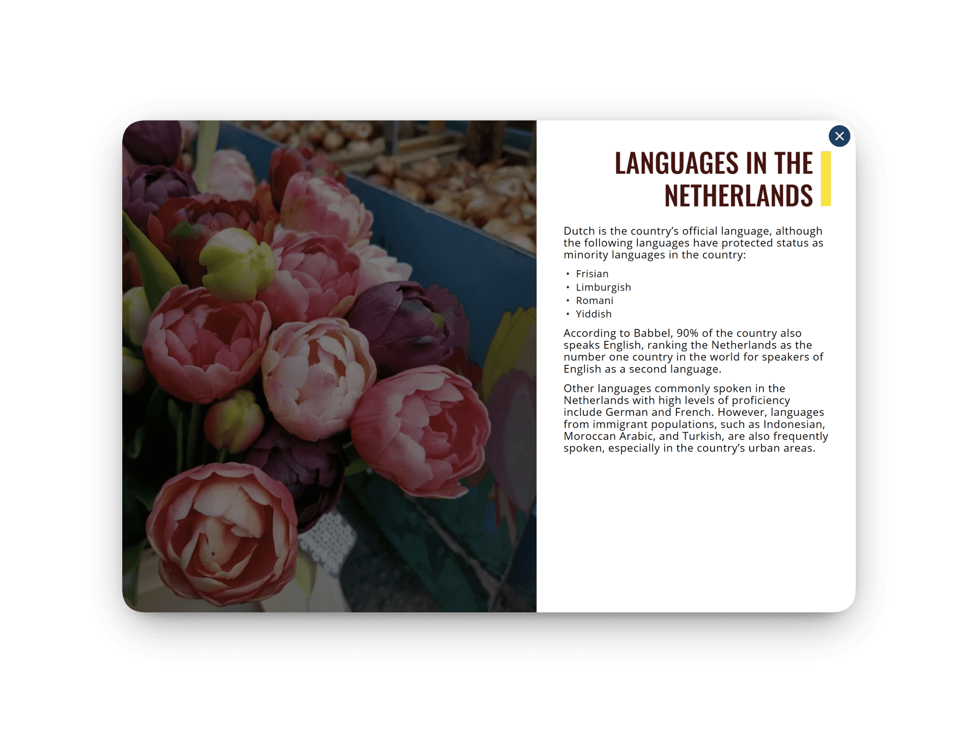 Texas A&M University brochure page 3
