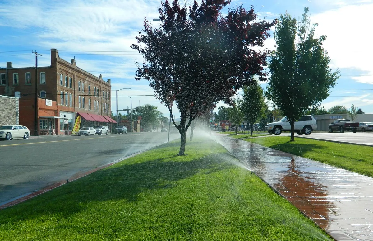 Tree-lined street with brick buildings in downtown Mountain Home, Idaho