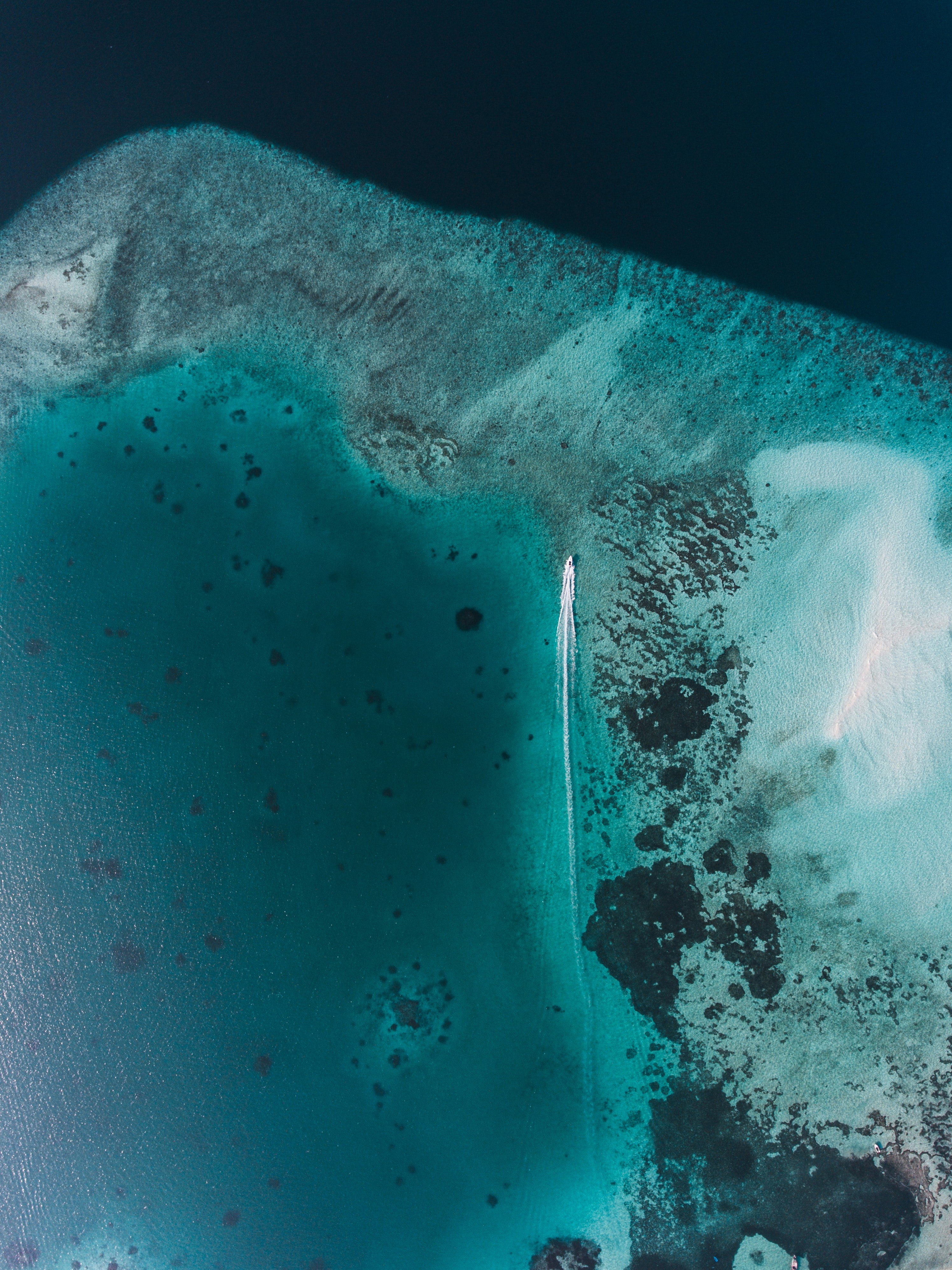 Flores to Spice island