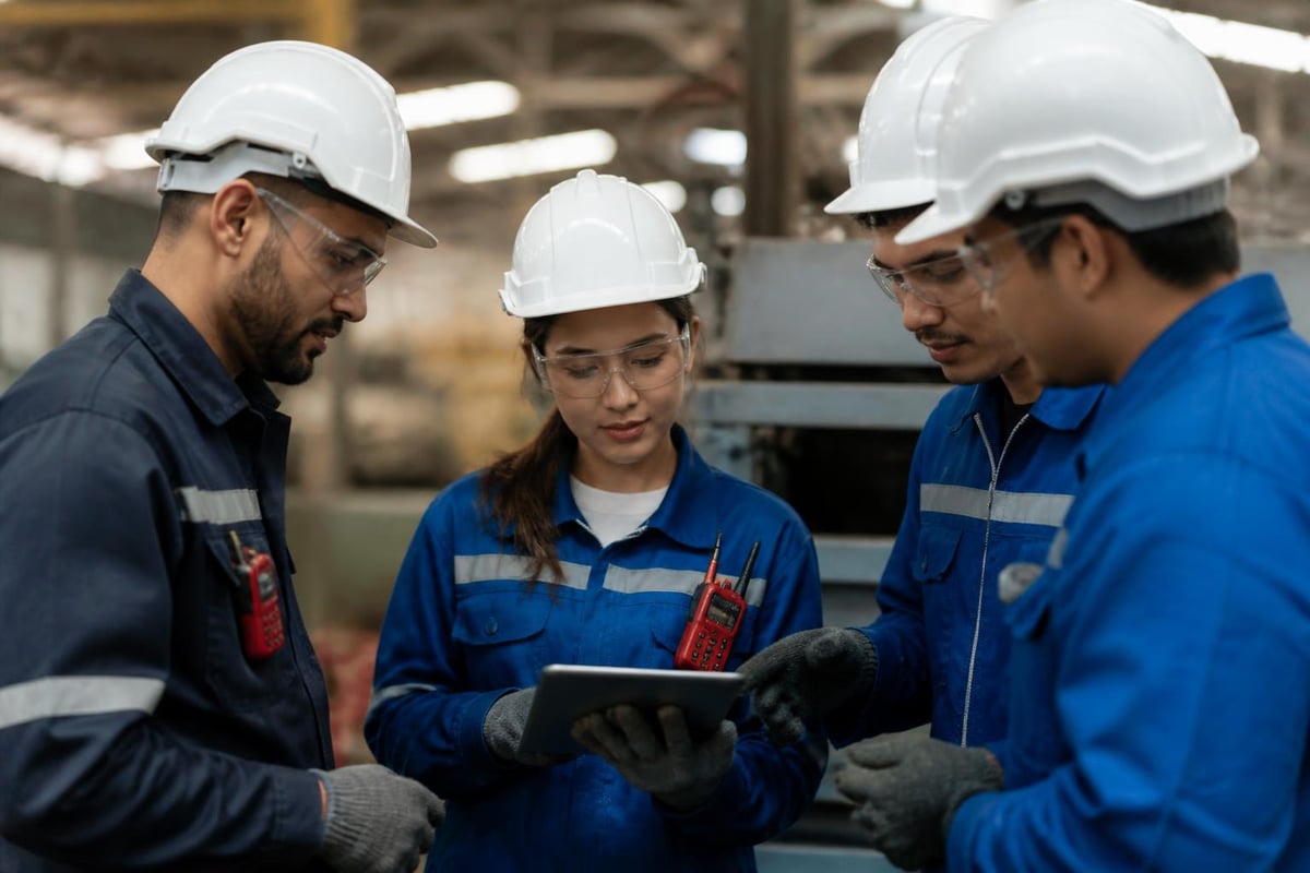 Inspection programme development