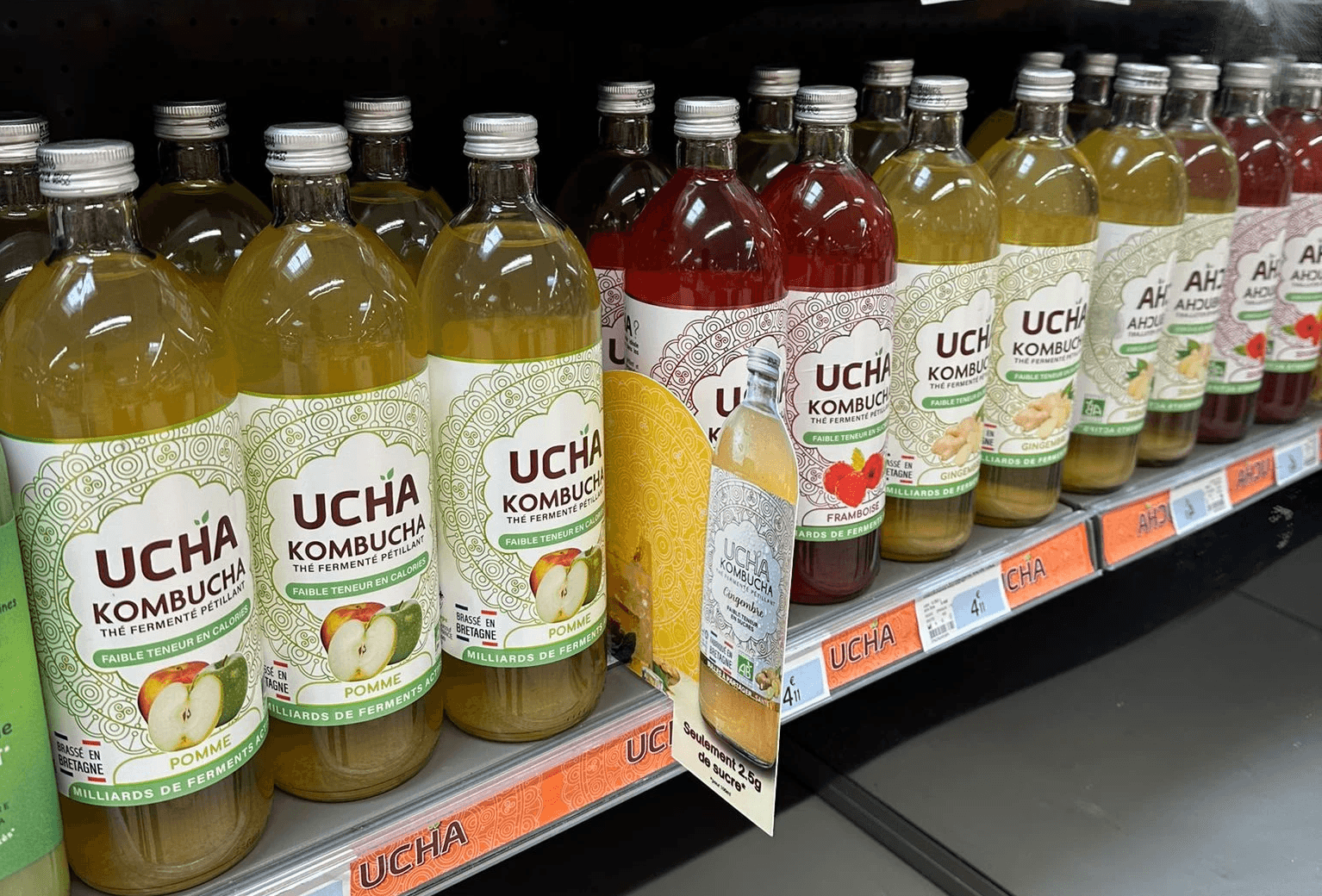 Kombucha au frigo