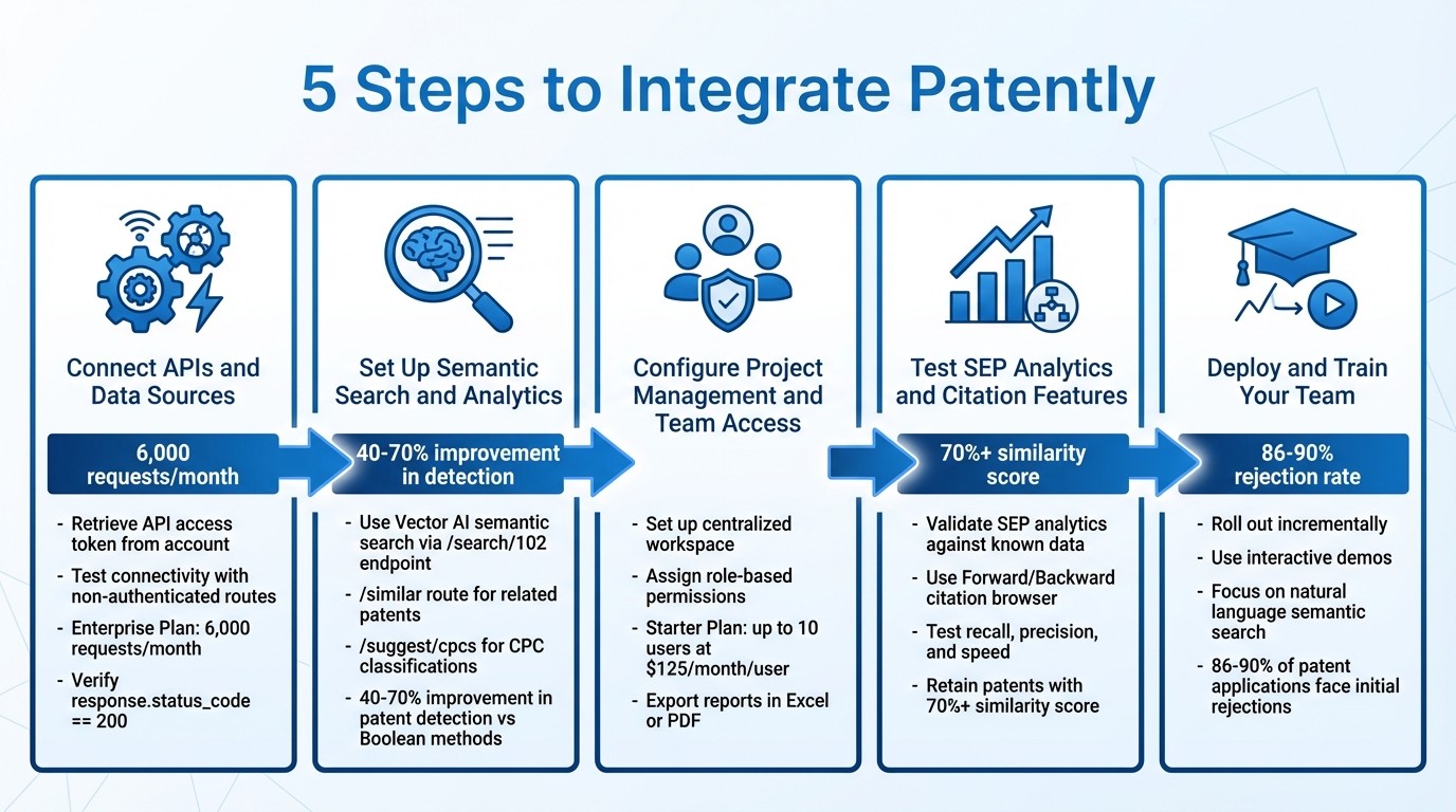 5-Step Patent Analytics Tool Integration Process