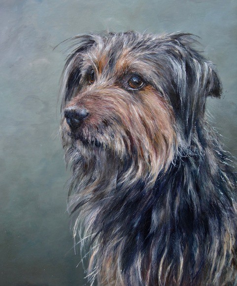 painting of terrier dog with plain background