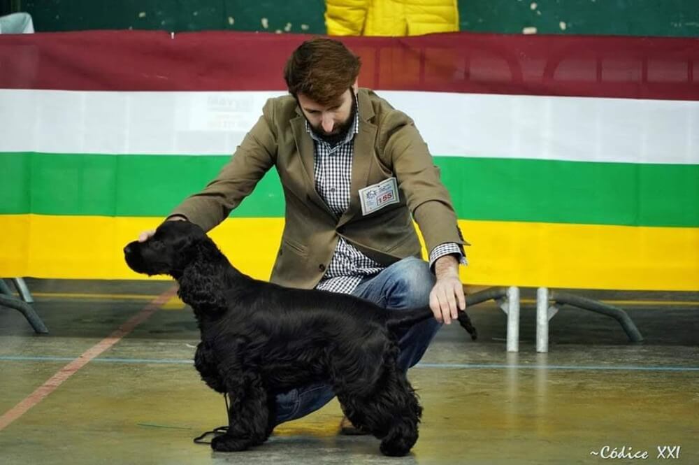 Adrián Fernandez en una exposición canina