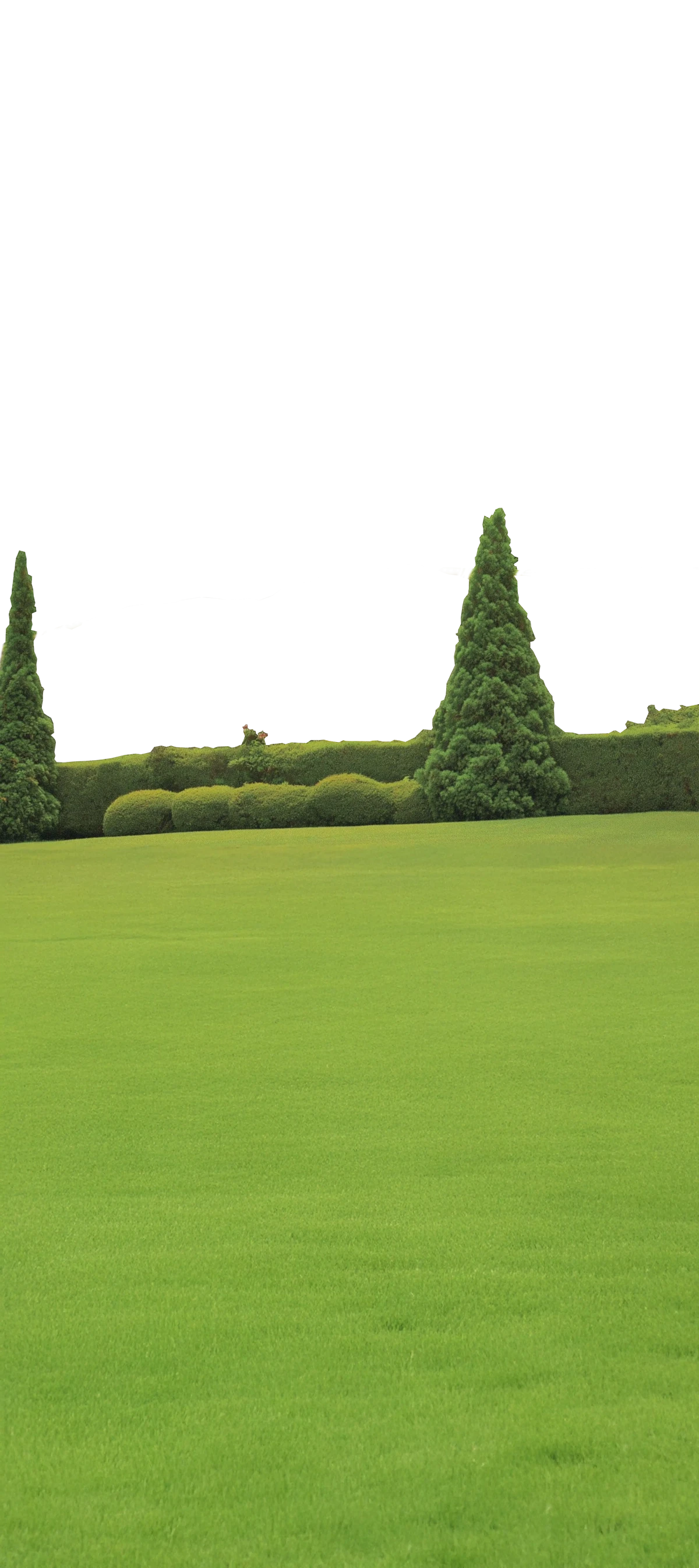 Manicured green lawn bordered by sculpted hedges and conifer trees, minimal and graphic landscape.