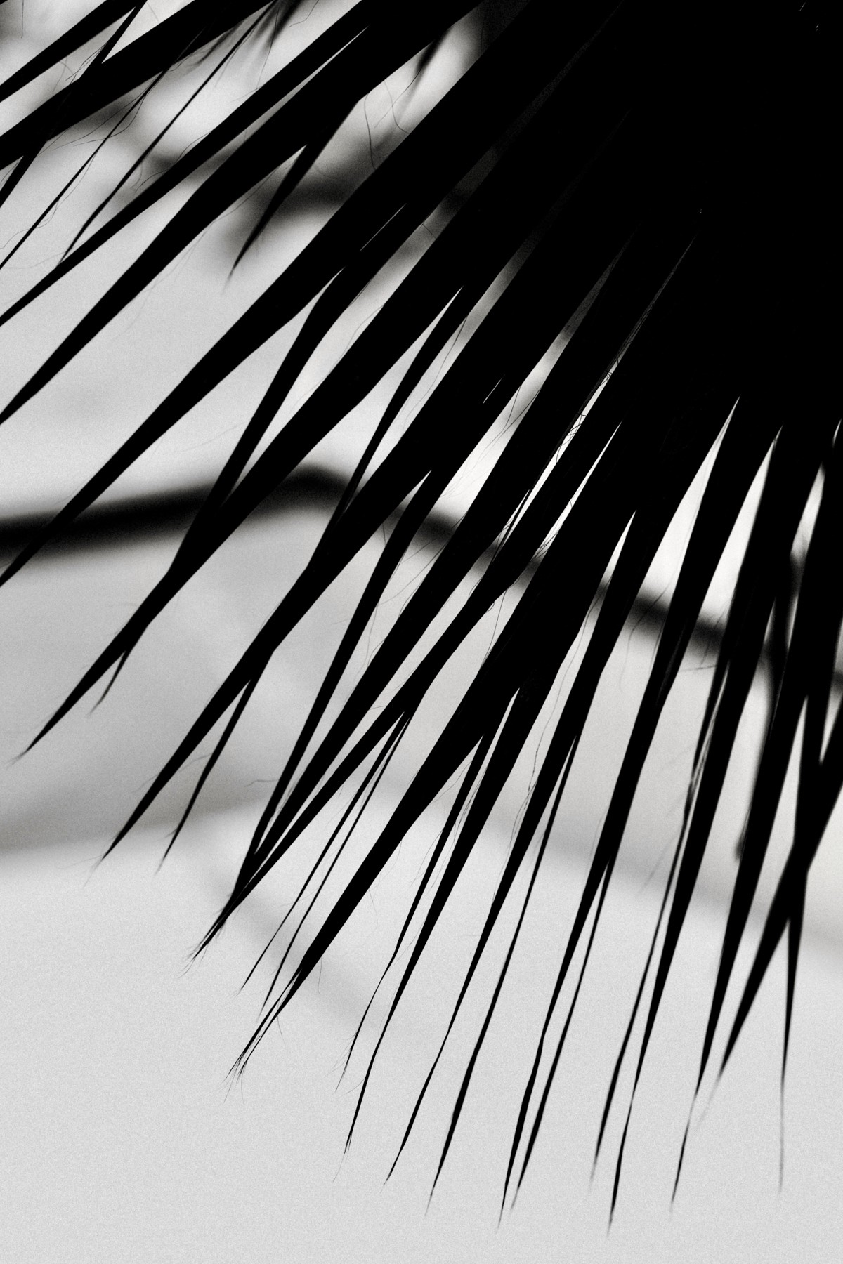 SEINT × 02 — image 25 of 61