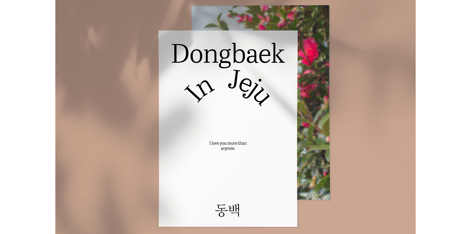 Large Project Gallery Image #4