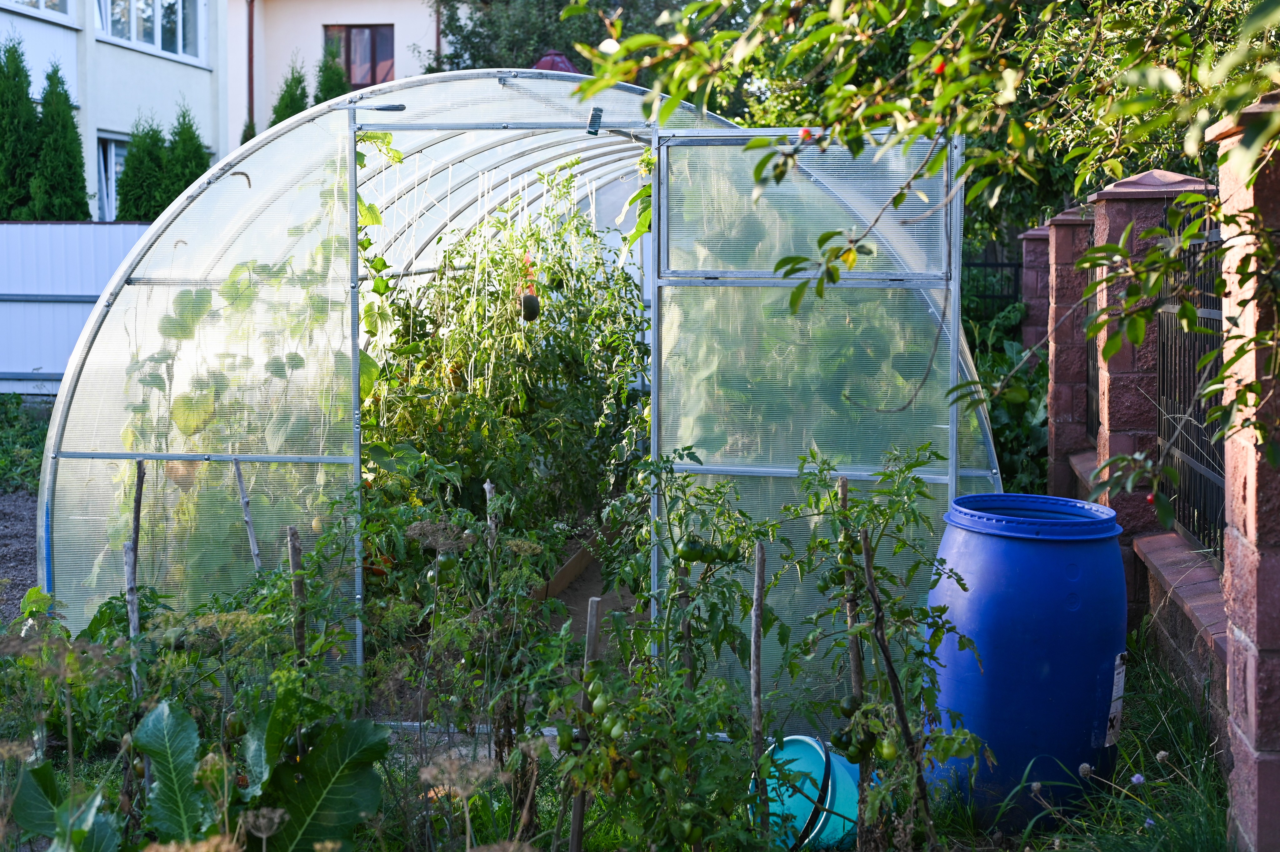 What Is The Best Polycarbonate Sheet For My Greenhouse?