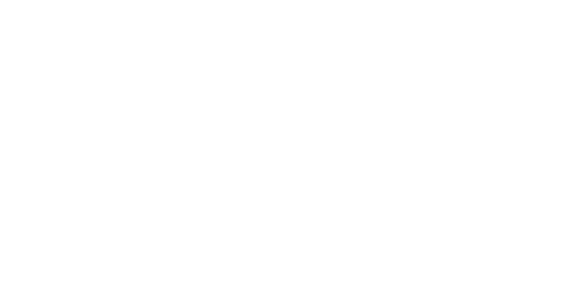 Partner logo 2