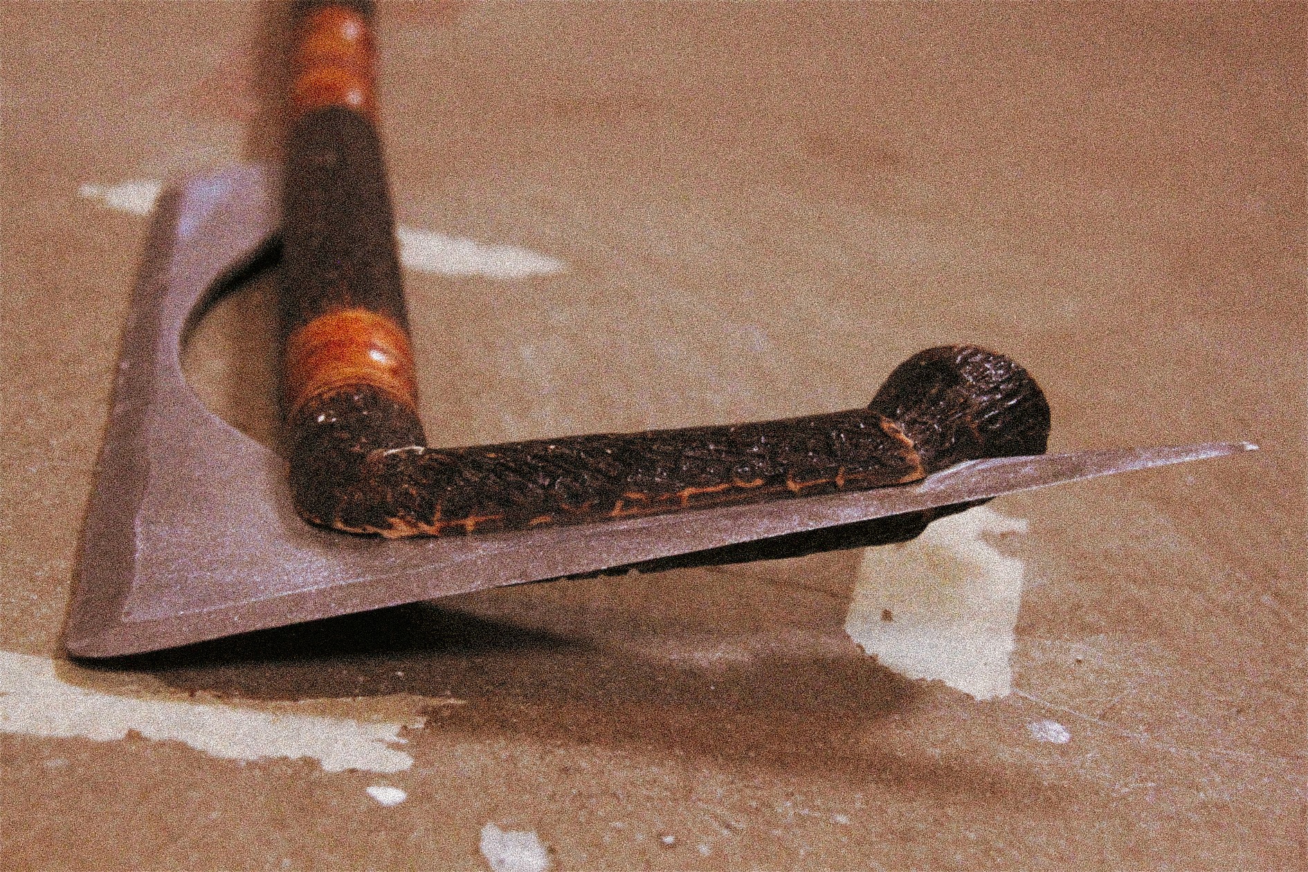 portrait photography