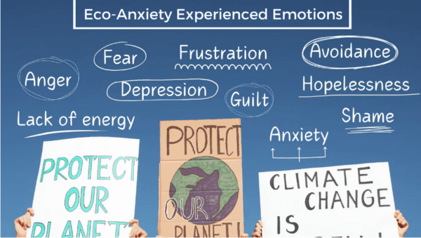 Close-up of lush, dark green leaves, some glossy and wet, against a muted background.