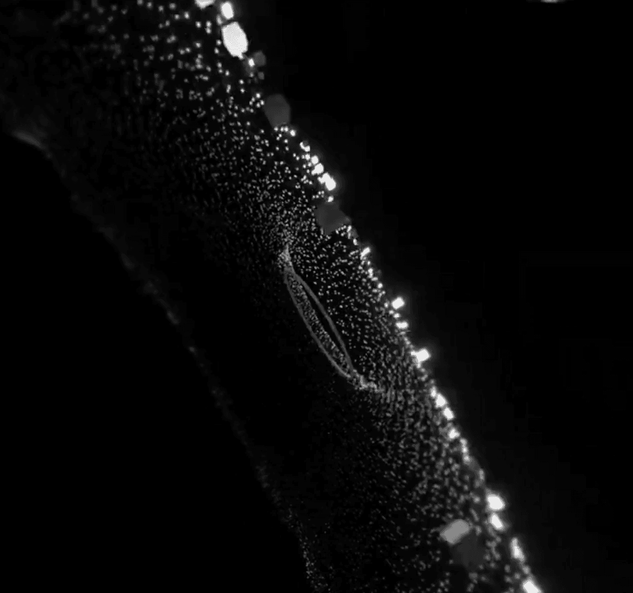 audio visual generation of an ambient composition