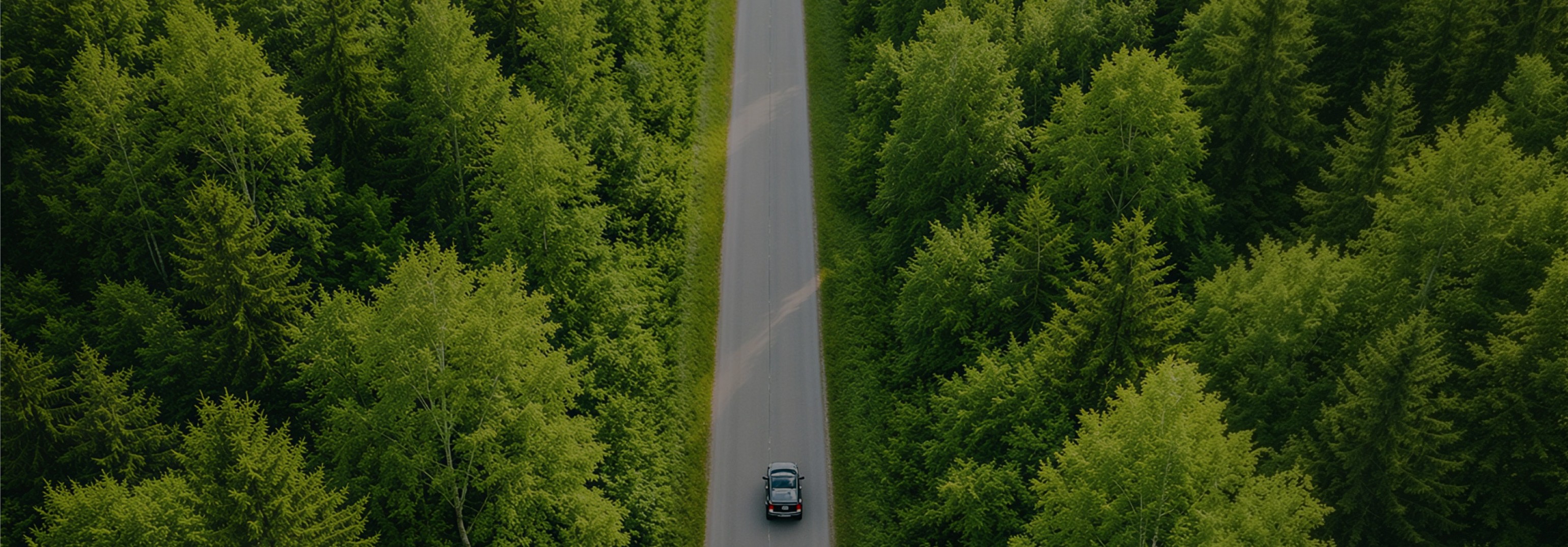 red car driving towards hills