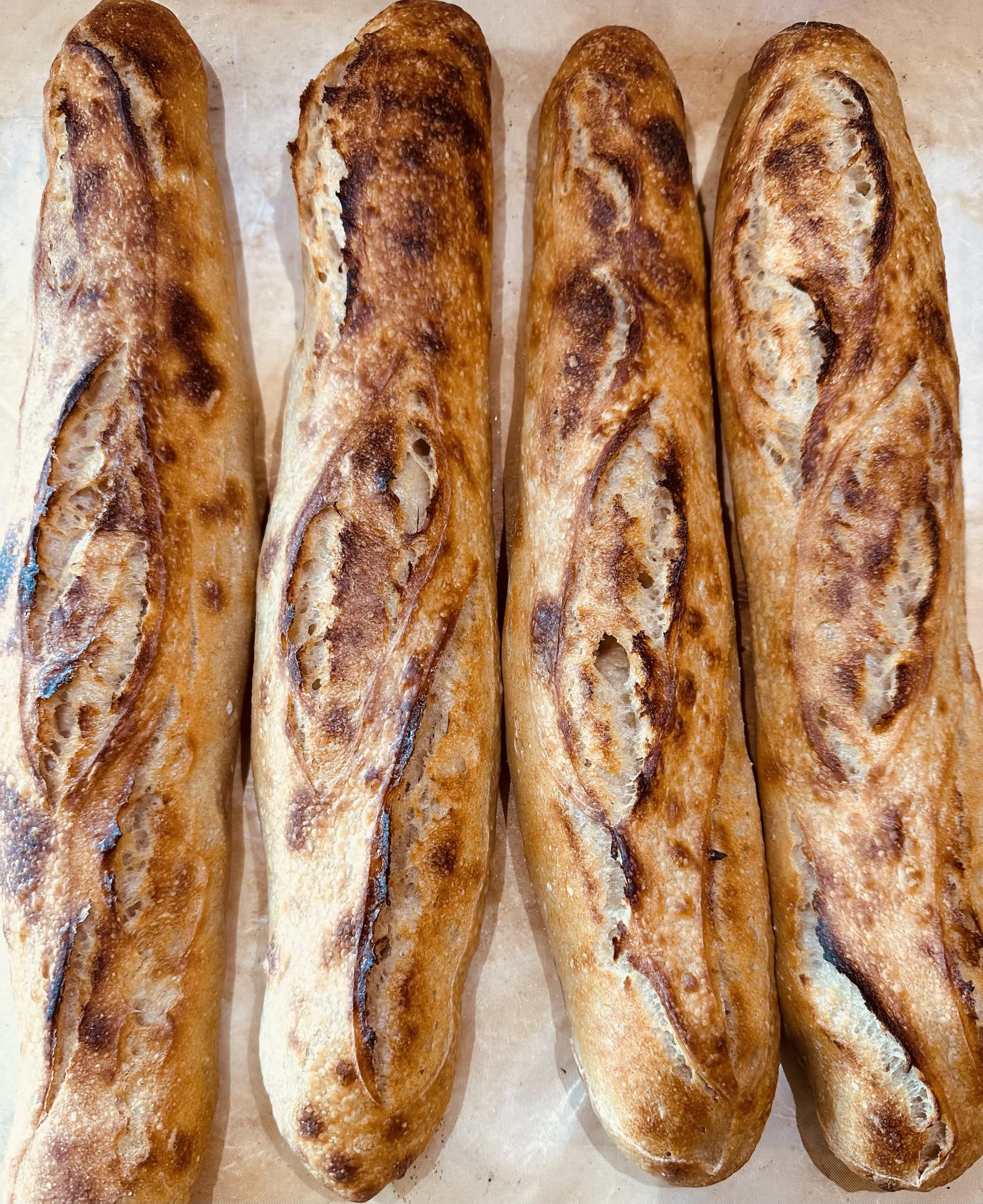 Baguettes lined up side by side