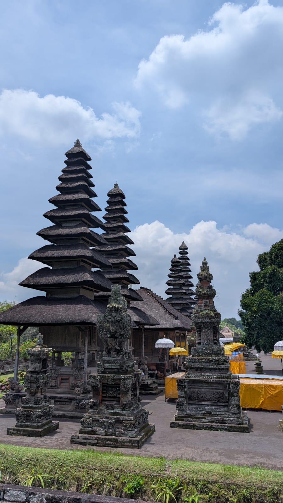 car passing by in between trees
