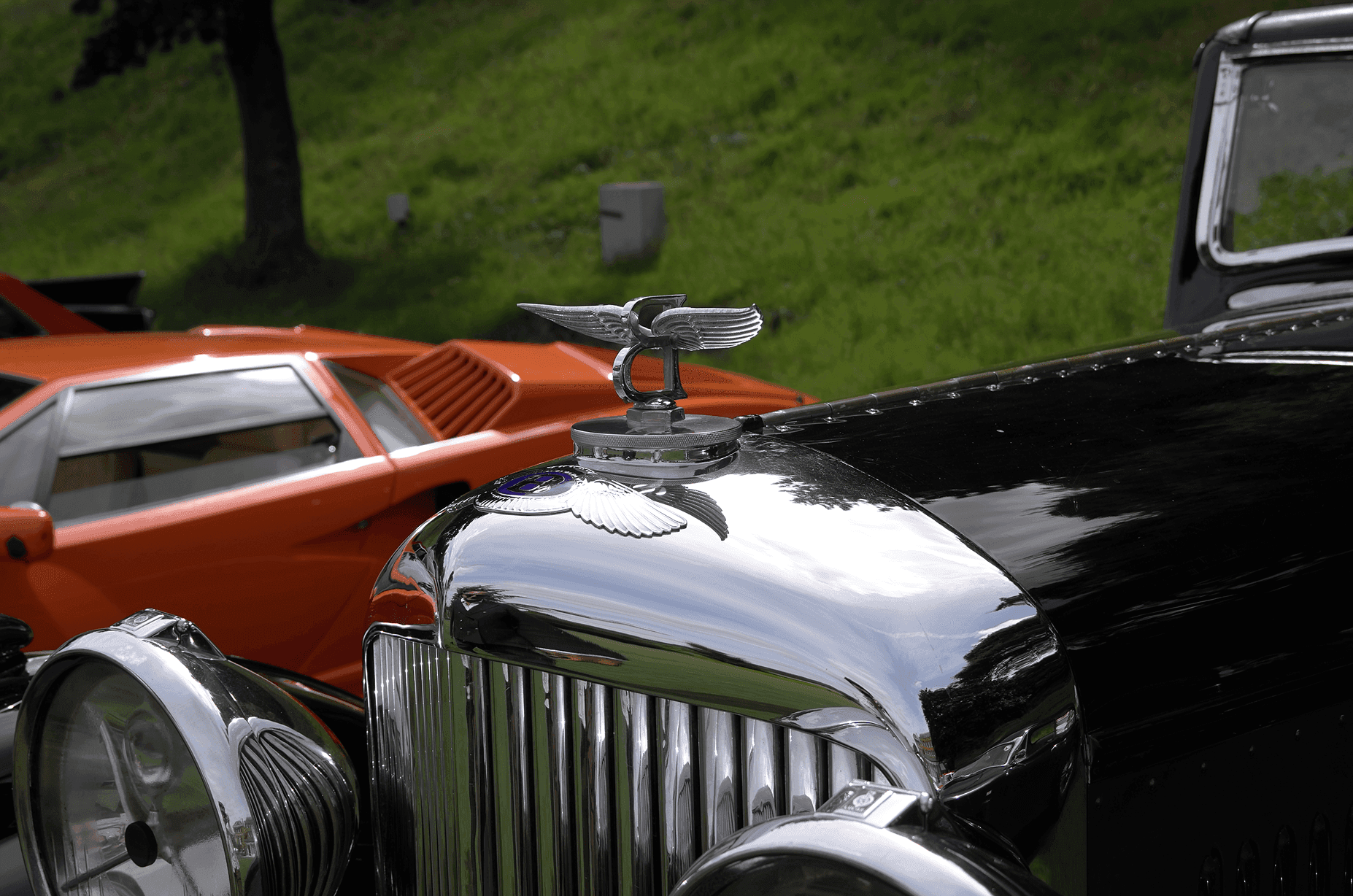 Dynamic picture of a cyclist riding downhill
