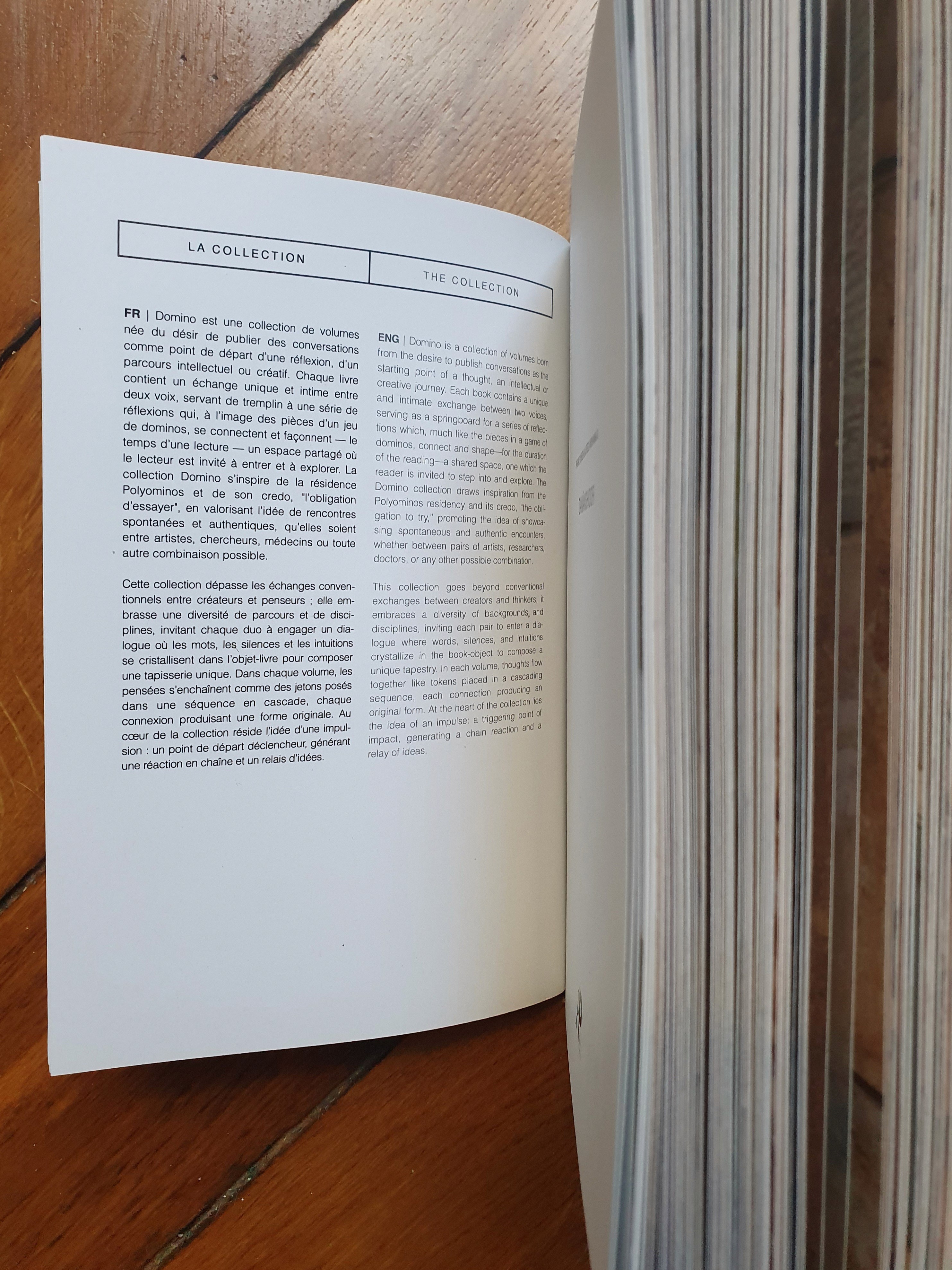 Livre posé sur une surface en bois, avec un texte décrivant la collection "Domino".