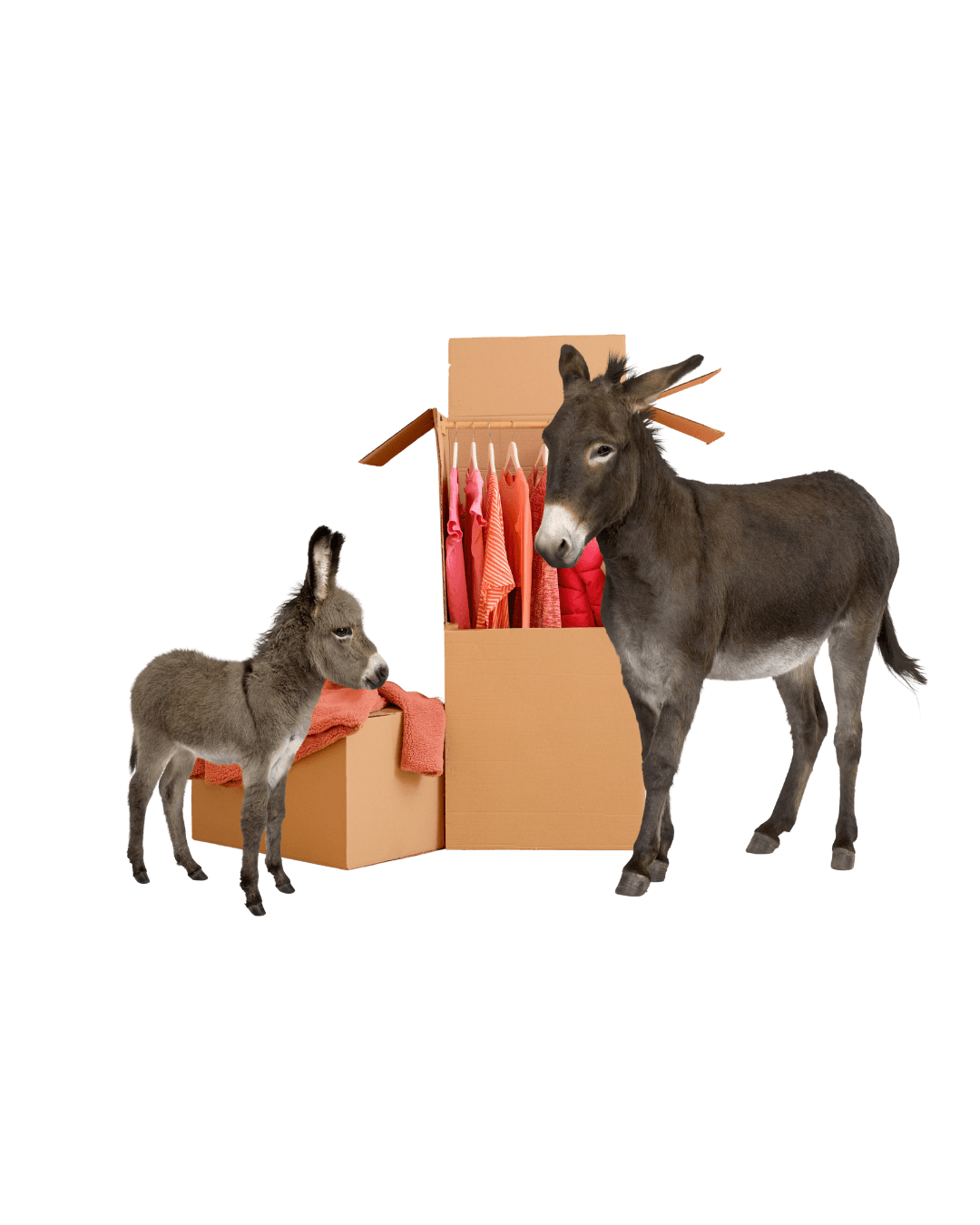 Vancouver mini storage for boxes