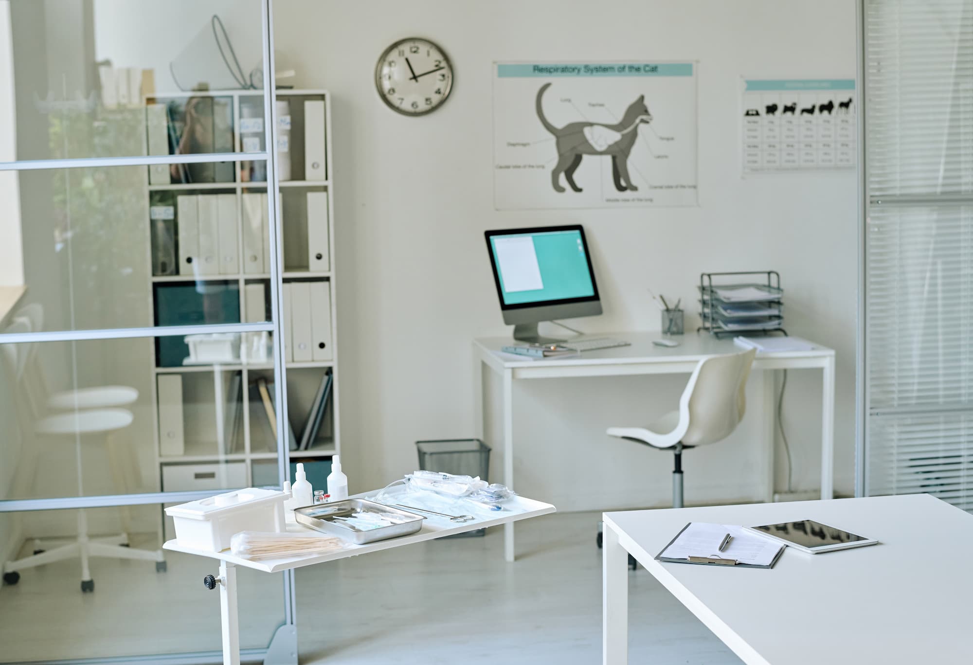myOffice PRO Services team’s guide on how to open a vet clinic in Dubai and obtain the required licensing