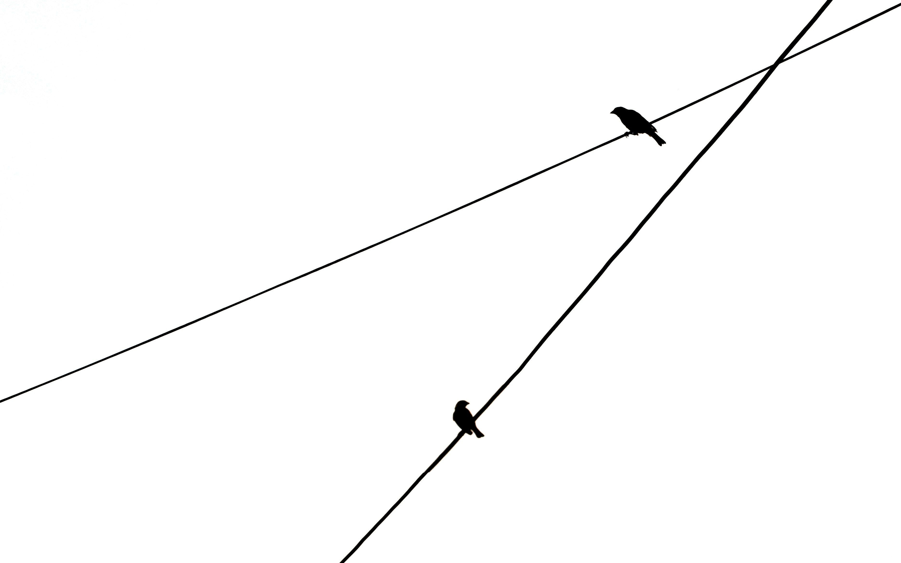 Diagram of organic marketing channels and their interconnectedness
