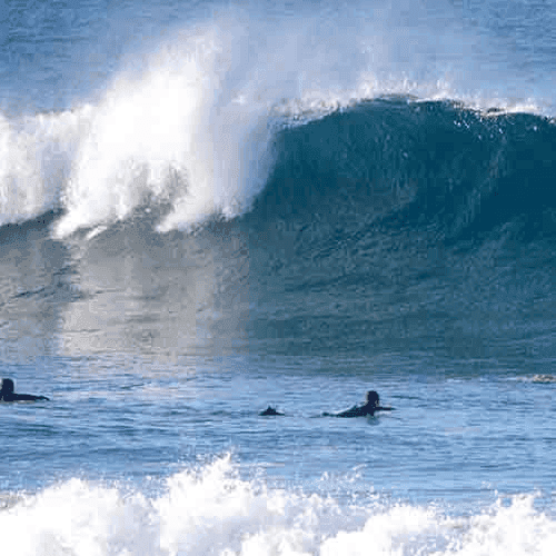 Surfers waiting for waves in the ocean – surfboard rental in lisbon