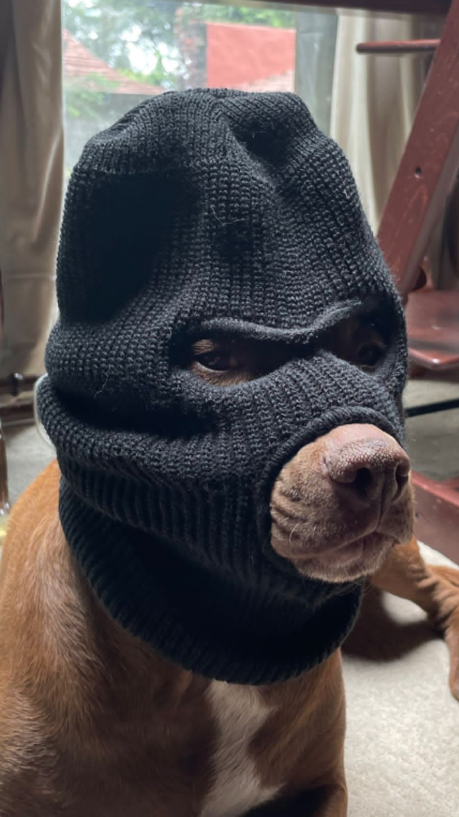 A sleek white and black futuristic figure wearing a helmet and headphones